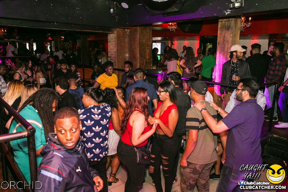 Orchid nightclub photo 27 - July 27th, 2019