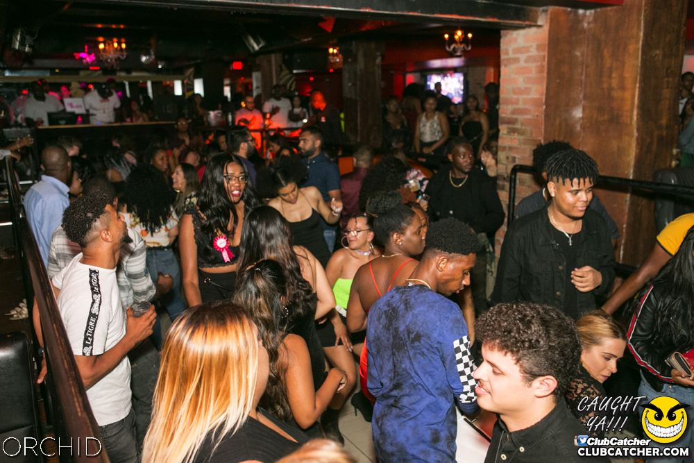 Orchid nightclub photo 32 - July 27th, 2019