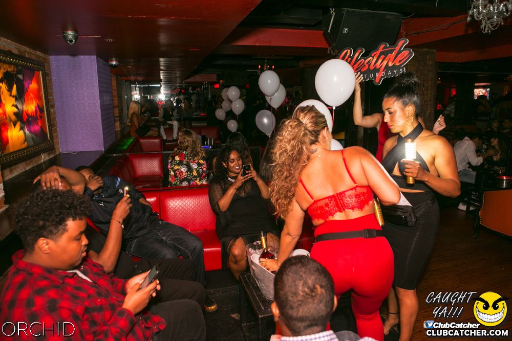 Orchid nightclub photo 41 - July 27th, 2019