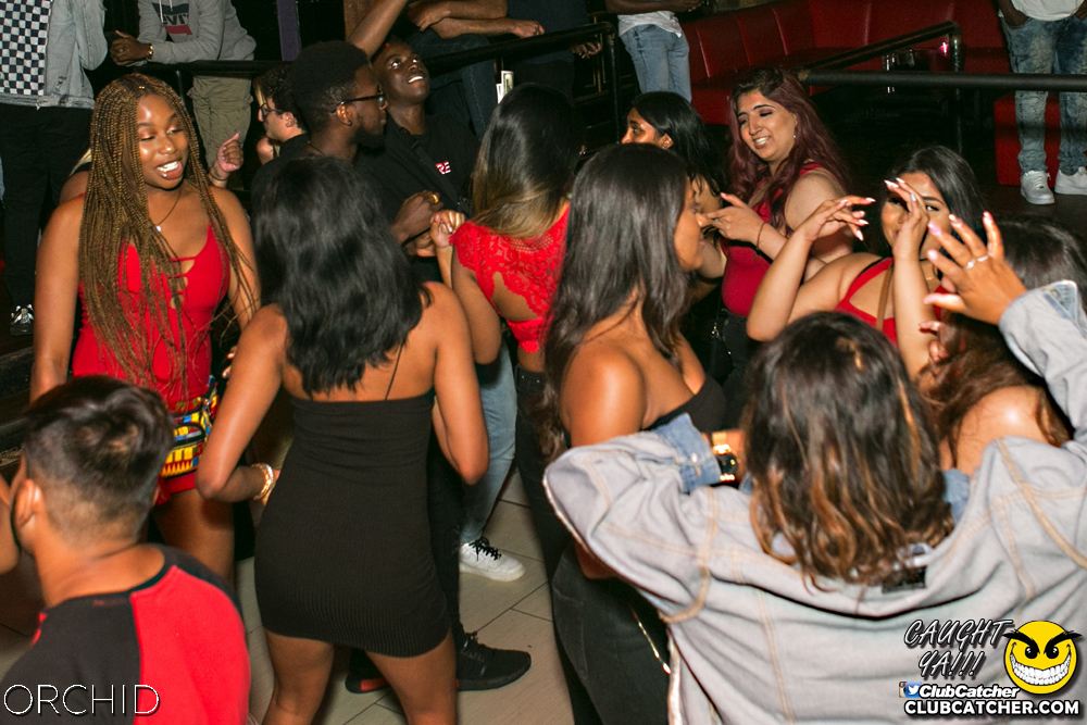 Orchid nightclub photo 45 - July 27th, 2019