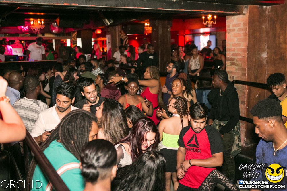 Orchid nightclub photo 50 - July 27th, 2019
