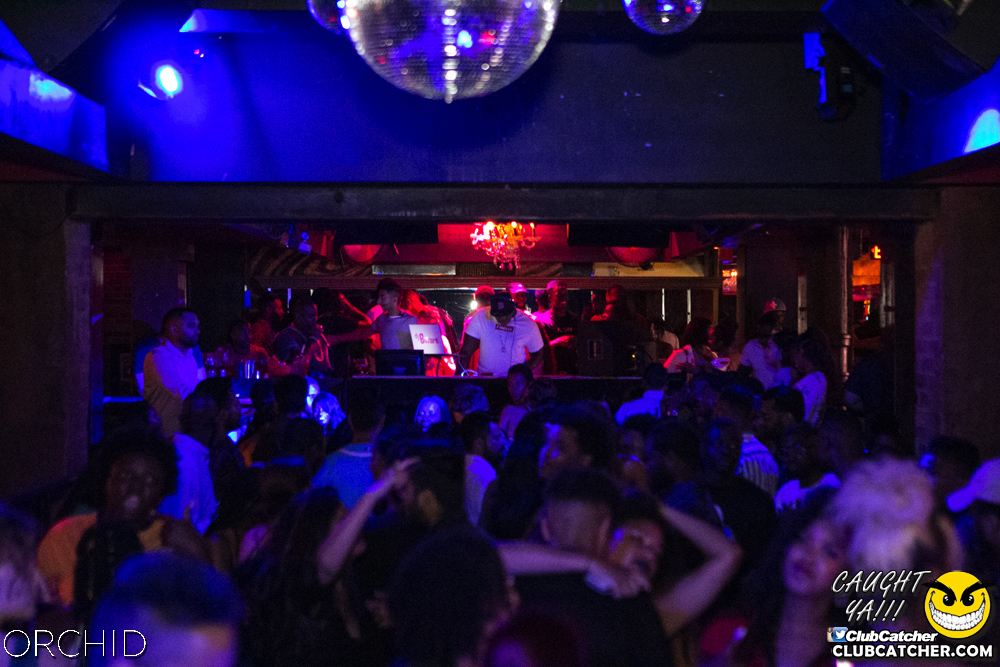 Orchid nightclub photo 54 - July 27th, 2019
