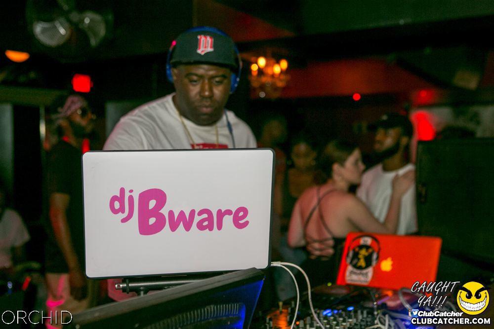 Orchid nightclub photo 56 - July 27th, 2019