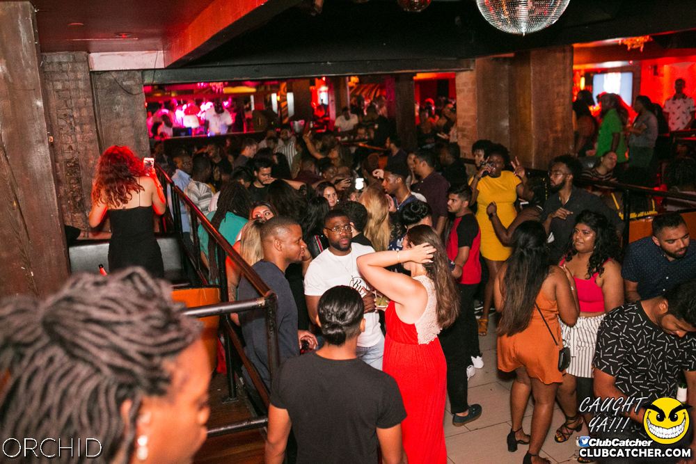 Orchid nightclub photo 60 - July 27th, 2019