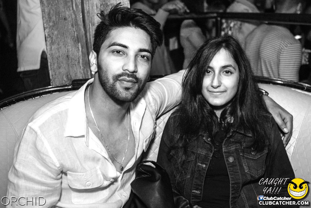 Orchid nightclub photo 61 - July 27th, 2019