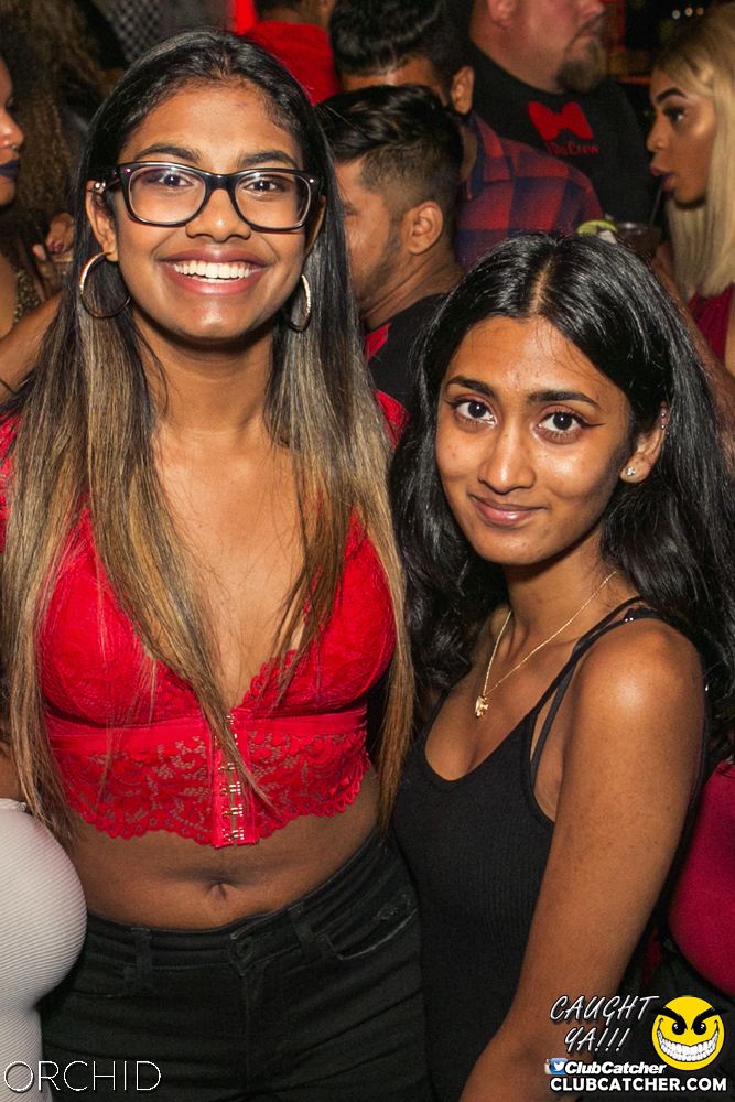 Orchid nightclub photo 63 - July 27th, 2019