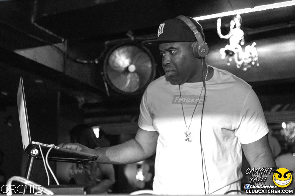 Orchid nightclub photo 64 - July 27th, 2019