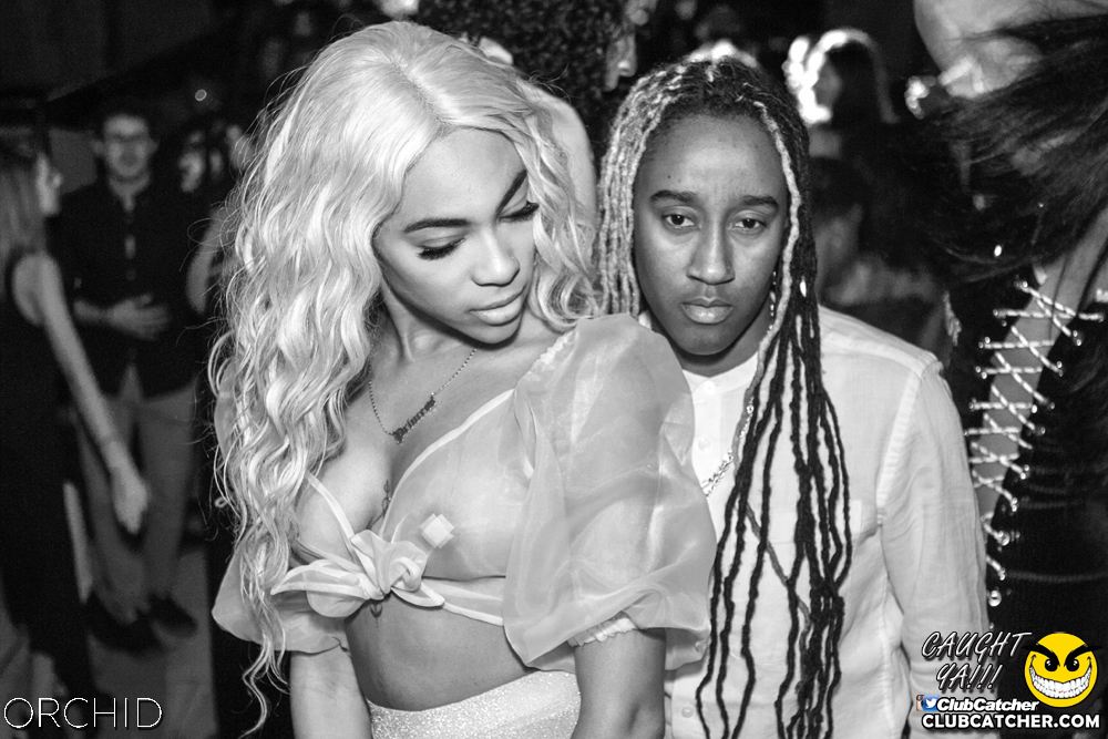 Orchid nightclub photo 65 - July 27th, 2019