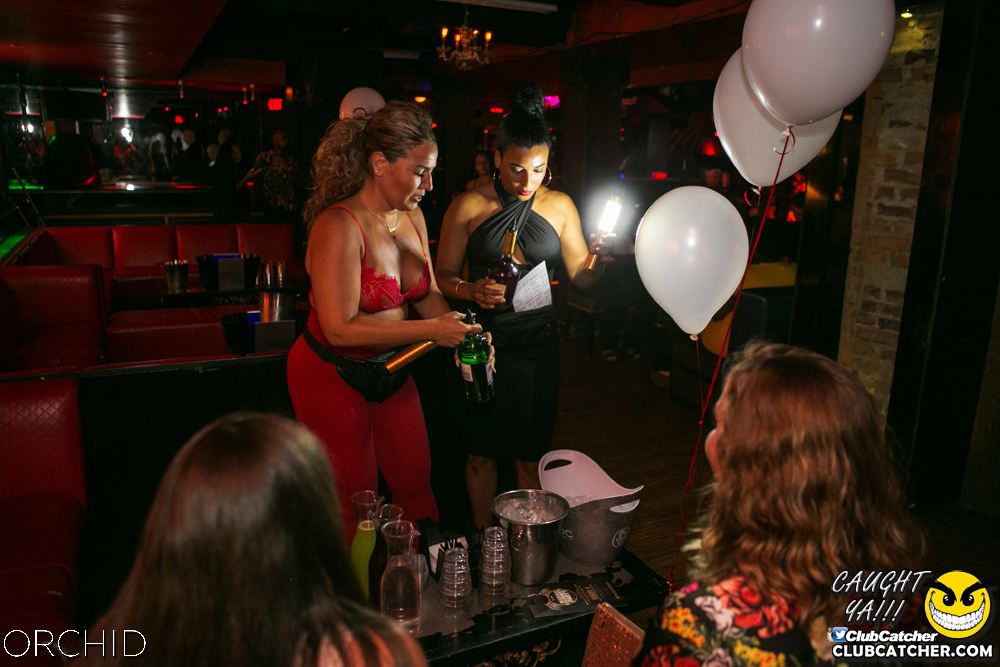Orchid nightclub photo 67 - July 27th, 2019