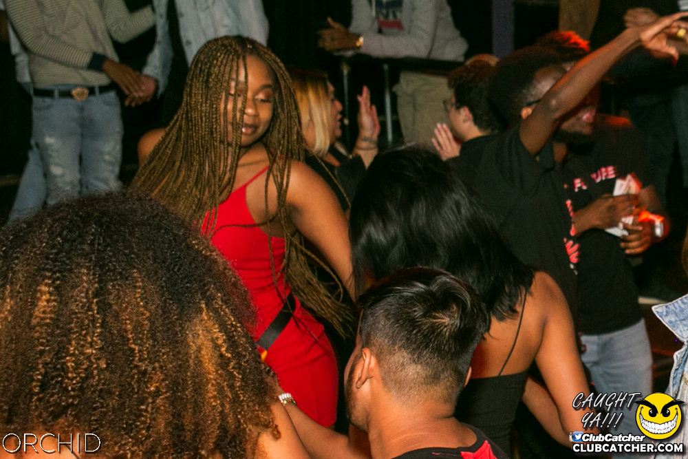 Orchid nightclub photo 71 - July 27th, 2019