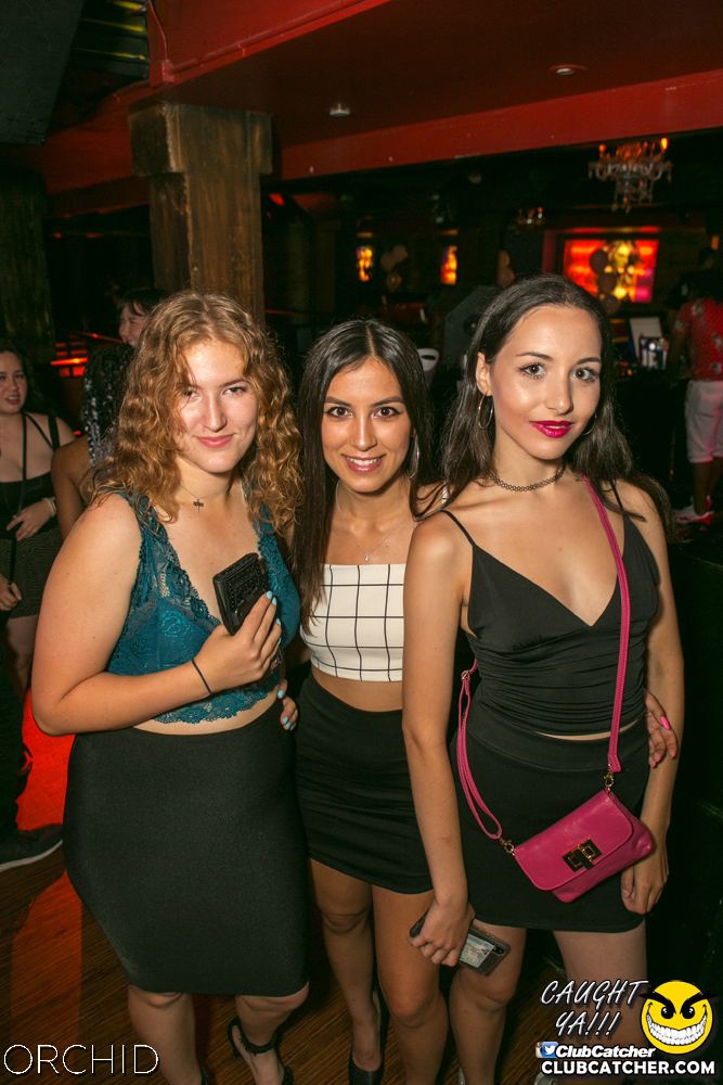 Orchid nightclub photo 72 - July 27th, 2019