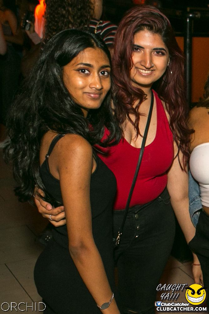 Orchid nightclub photo 75 - July 27th, 2019