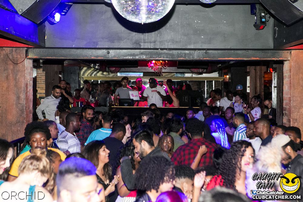 Orchid nightclub photo 76 - July 27th, 2019