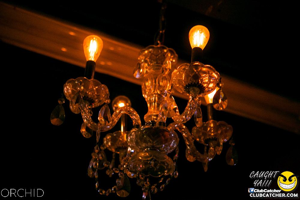 Orchid nightclub photo 79 - July 27th, 2019