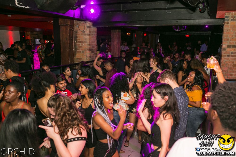 Orchid nightclub photo 83 - July 27th, 2019