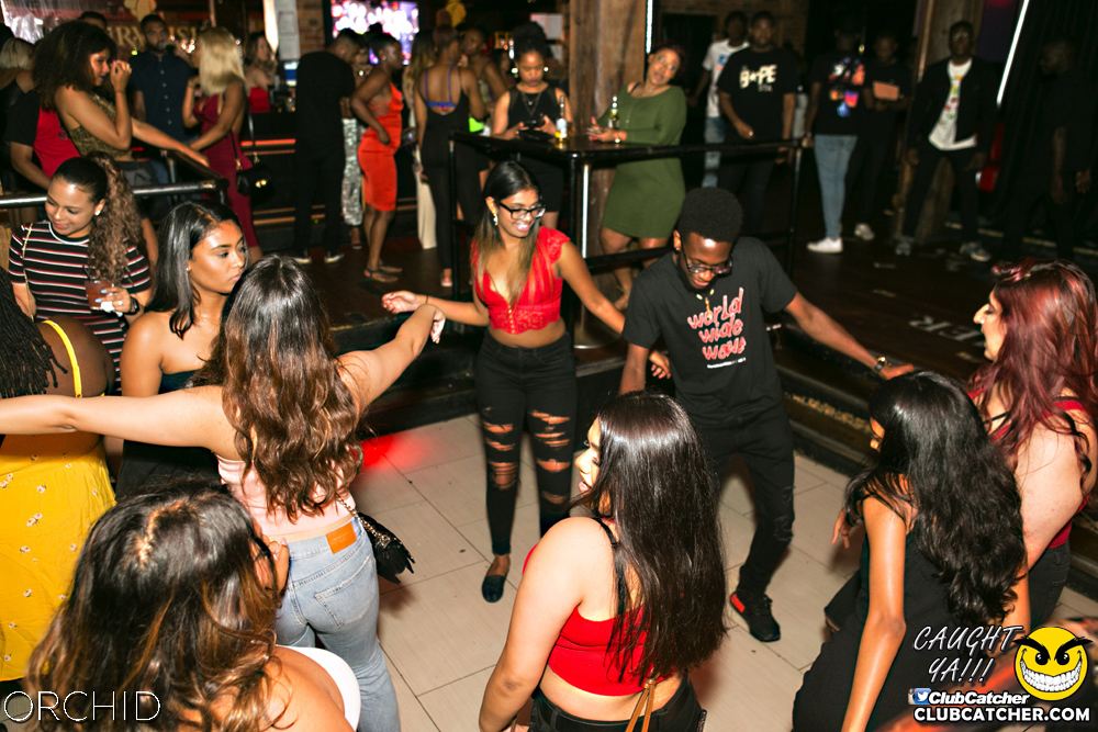 Orchid nightclub photo 87 - July 27th, 2019