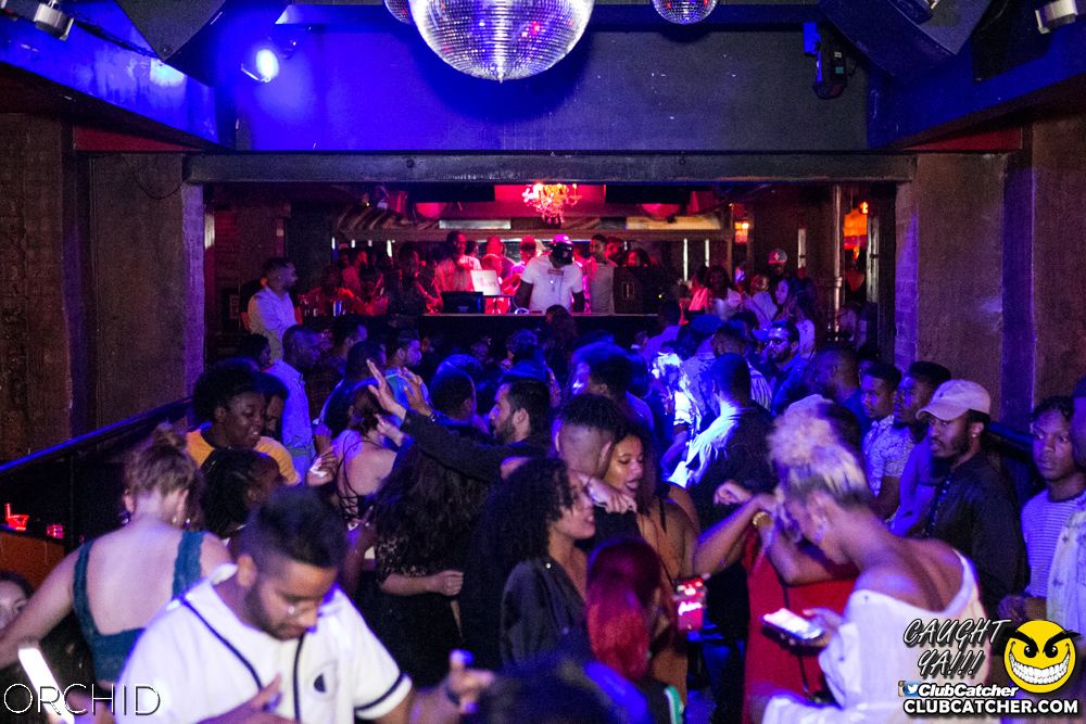 Orchid nightclub photo 89 - July 27th, 2019