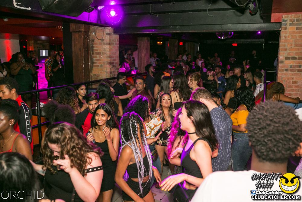 Orchid nightclub photo 10 - July 27th, 2019