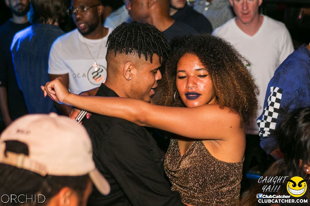 Orchid nightclub photo 91 - July 27th, 2019