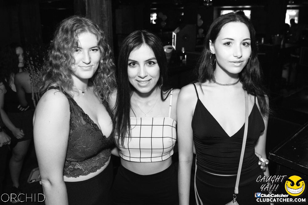 Orchid nightclub photo 94 - July 27th, 2019