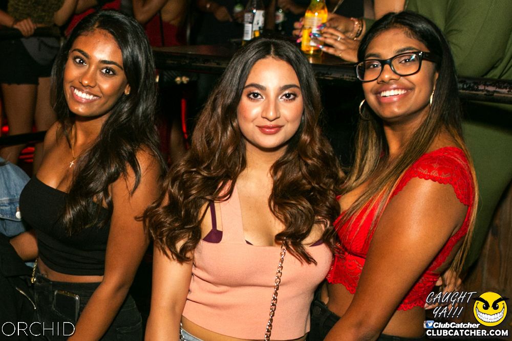 Orchid nightclub photo 96 - July 27th, 2019