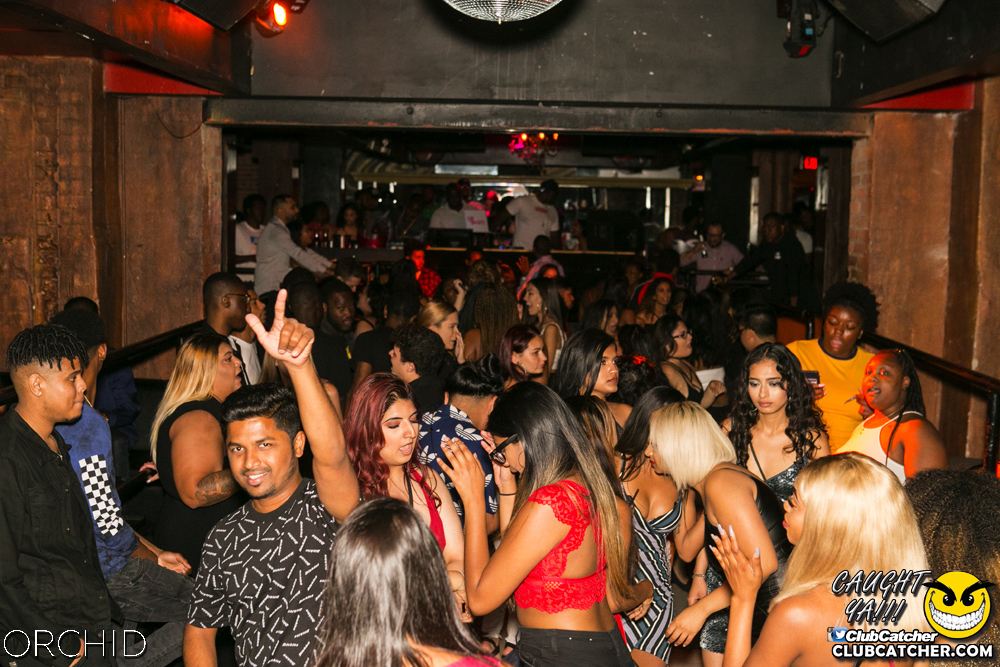 Orchid nightclub photo 98 - July 27th, 2019