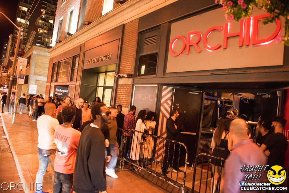 Orchid nightclub photo 128 - August 24th, 2019