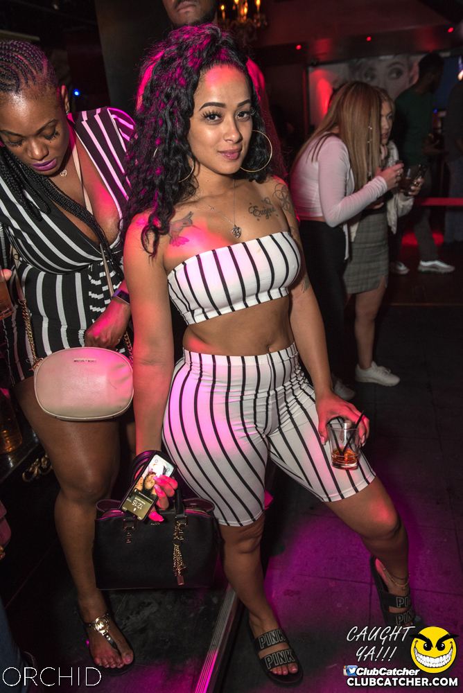 Orchid nightclub photo 28 - August 24th, 2019