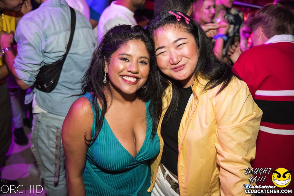 Orchid nightclub photo 35 - August 24th, 2019