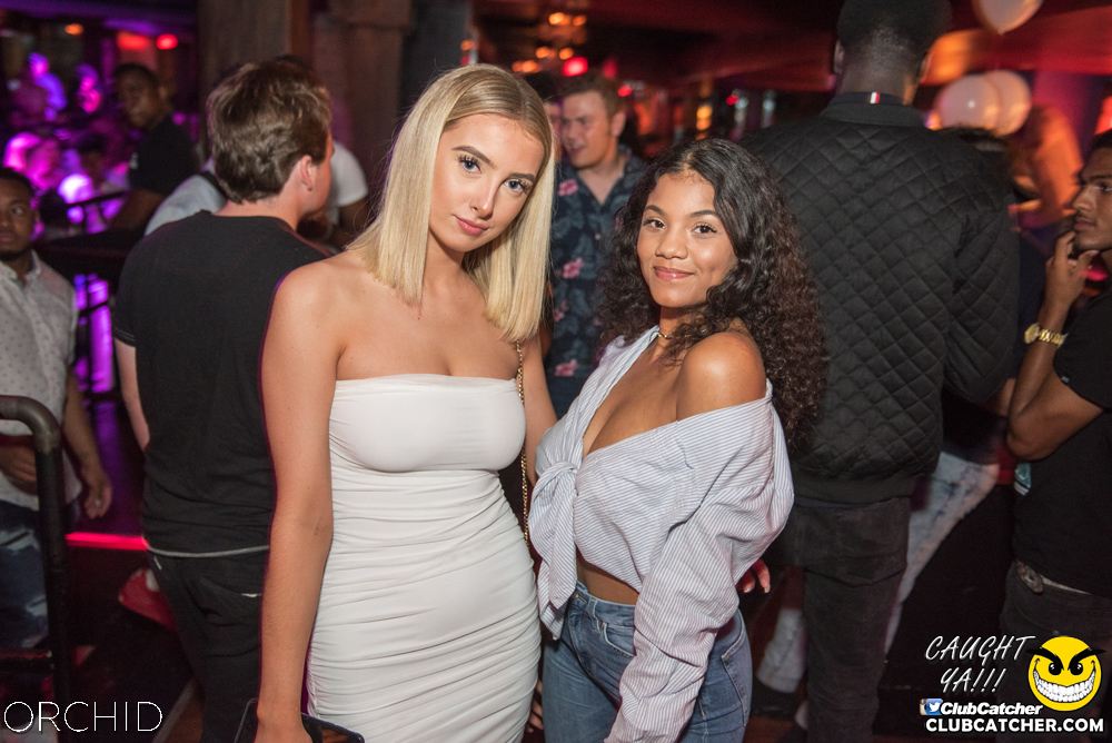 Orchid nightclub photo 45 - August 24th, 2019