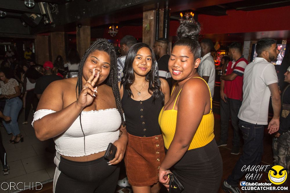 Orchid nightclub photo 116 - August 31st, 2019