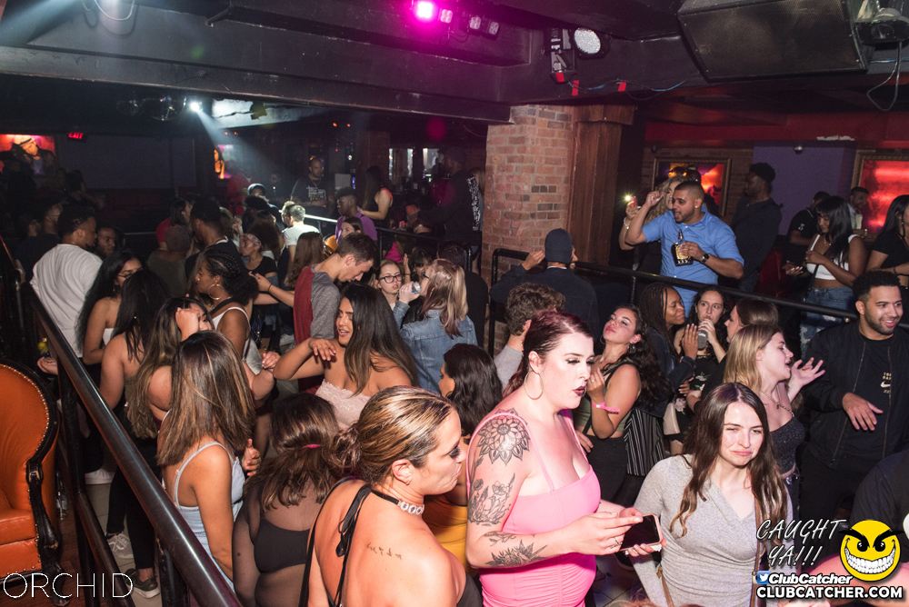 Orchid nightclub photo 1 - September 6th, 2019