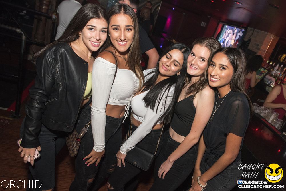 Orchid nightclub photo 11 - September 6th, 2019