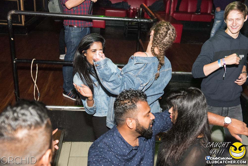 Orchid nightclub photo 103 - September 6th, 2019
