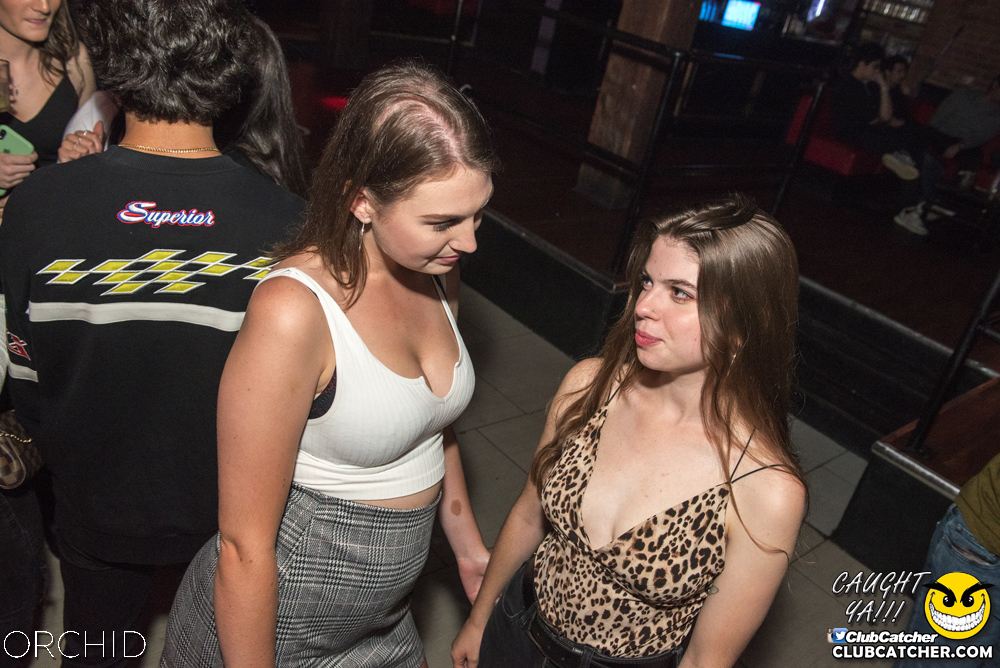 Orchid nightclub photo 107 - September 6th, 2019