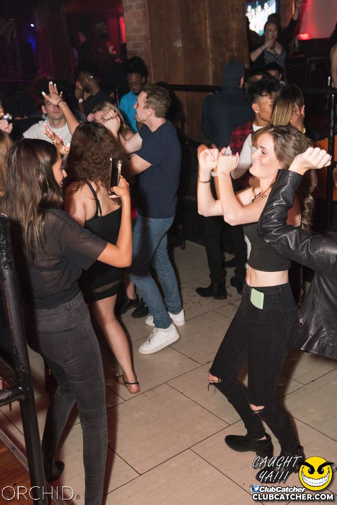 Orchid nightclub photo 108 - September 6th, 2019