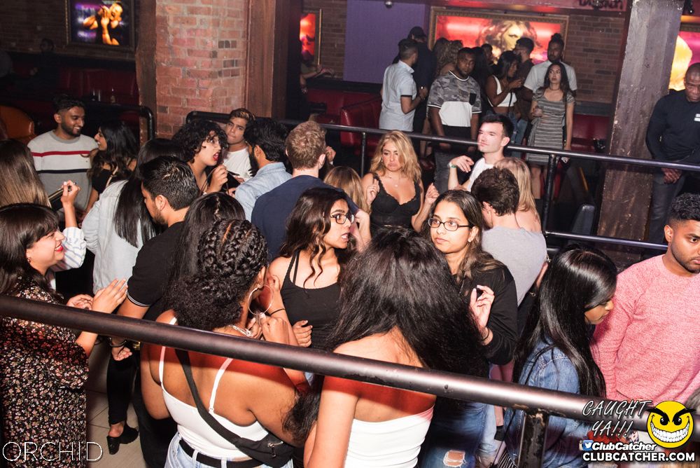 Orchid nightclub photo 112 - September 6th, 2019