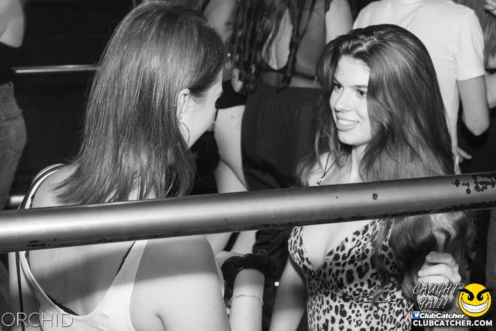 Orchid nightclub photo 119 - September 6th, 2019