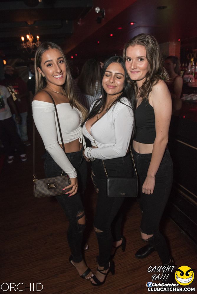 Orchid nightclub photo 121 - September 6th, 2019