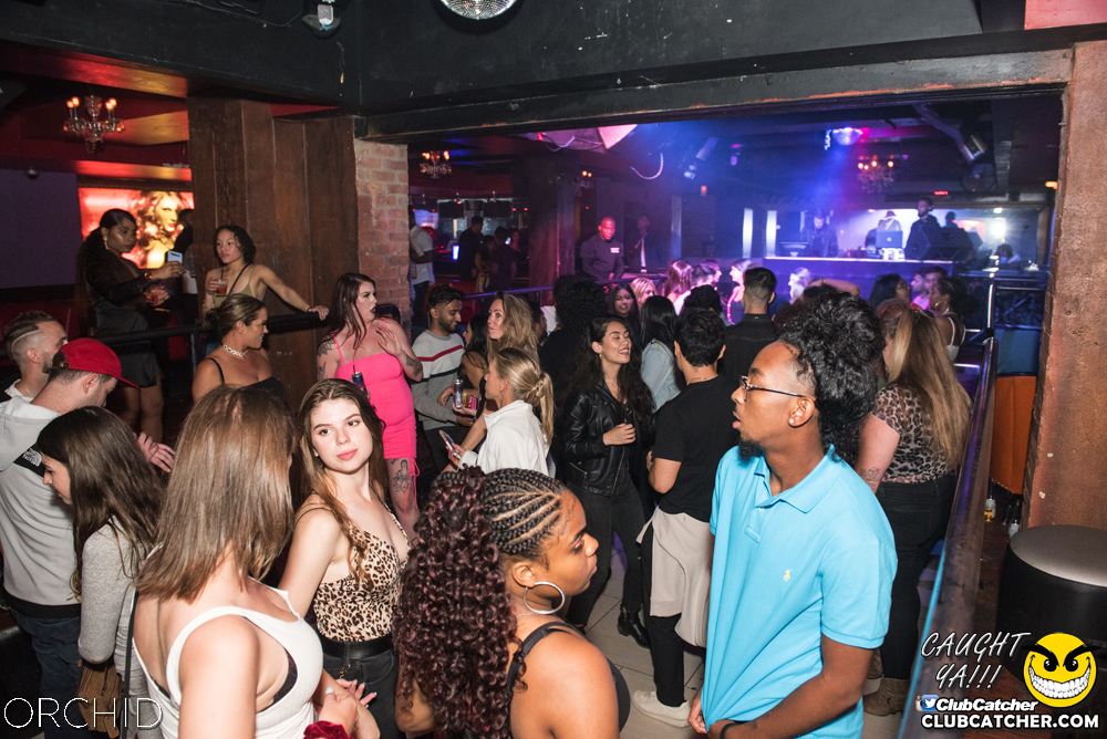 Orchid nightclub photo 125 - September 6th, 2019