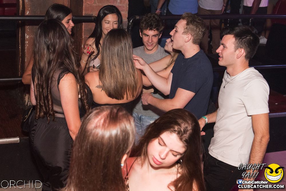 Orchid nightclub photo 128 - September 6th, 2019