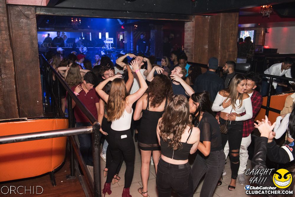 Orchid nightclub photo 130 - September 6th, 2019