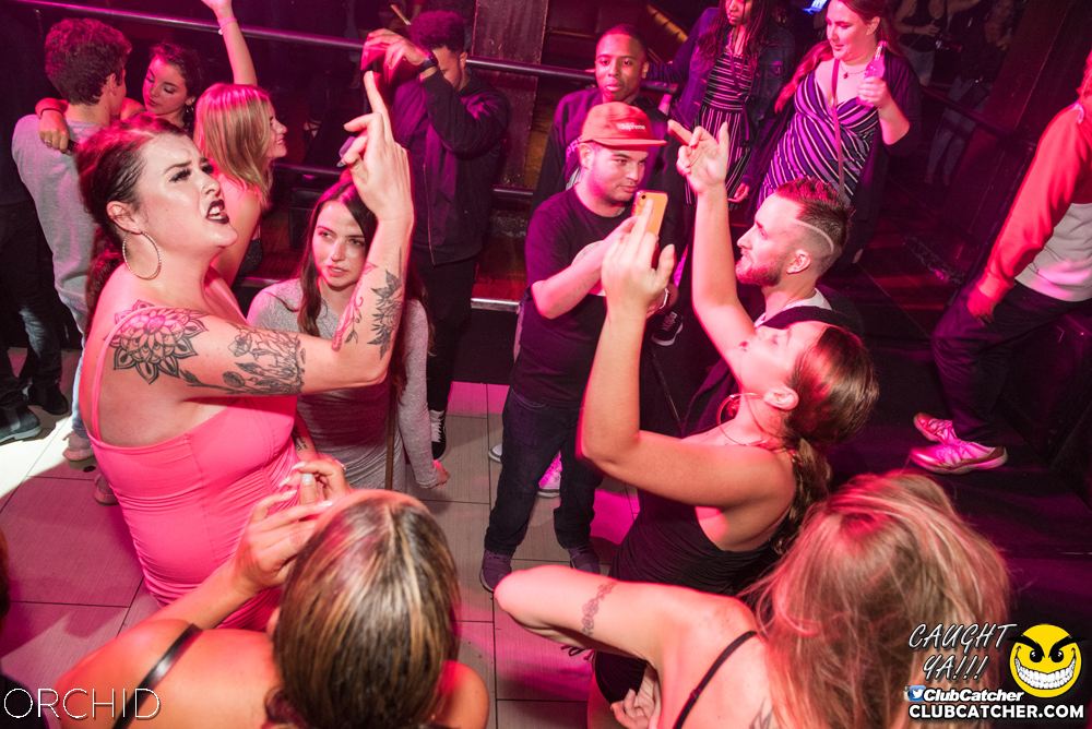 Orchid nightclub photo 14 - September 6th, 2019