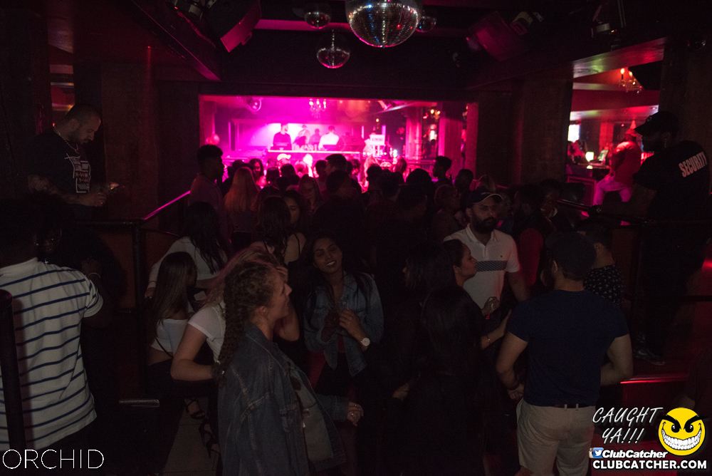 Orchid nightclub photo 134 - September 6th, 2019