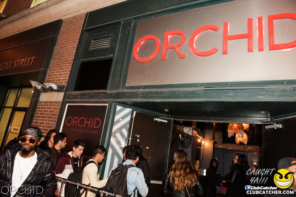 Orchid nightclub photo 141 - September 6th, 2019