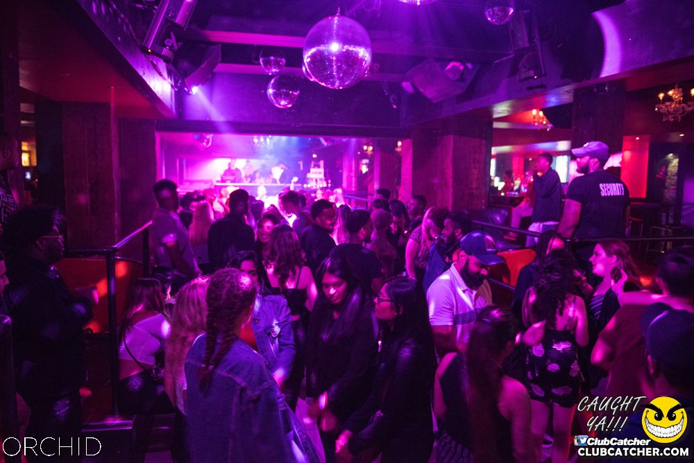 Orchid nightclub photo 144 - September 6th, 2019