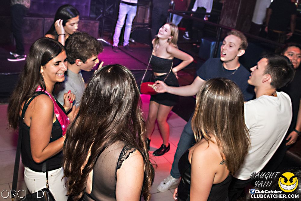Orchid nightclub photo 146 - September 6th, 2019