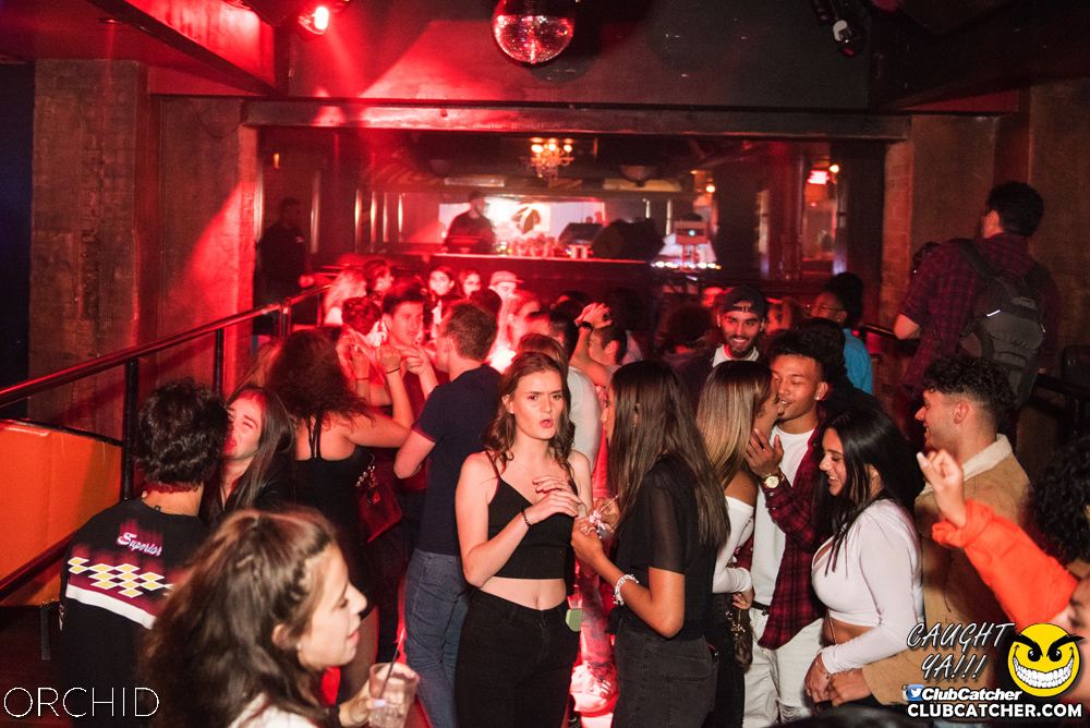 Orchid nightclub photo 16 - September 6th, 2019