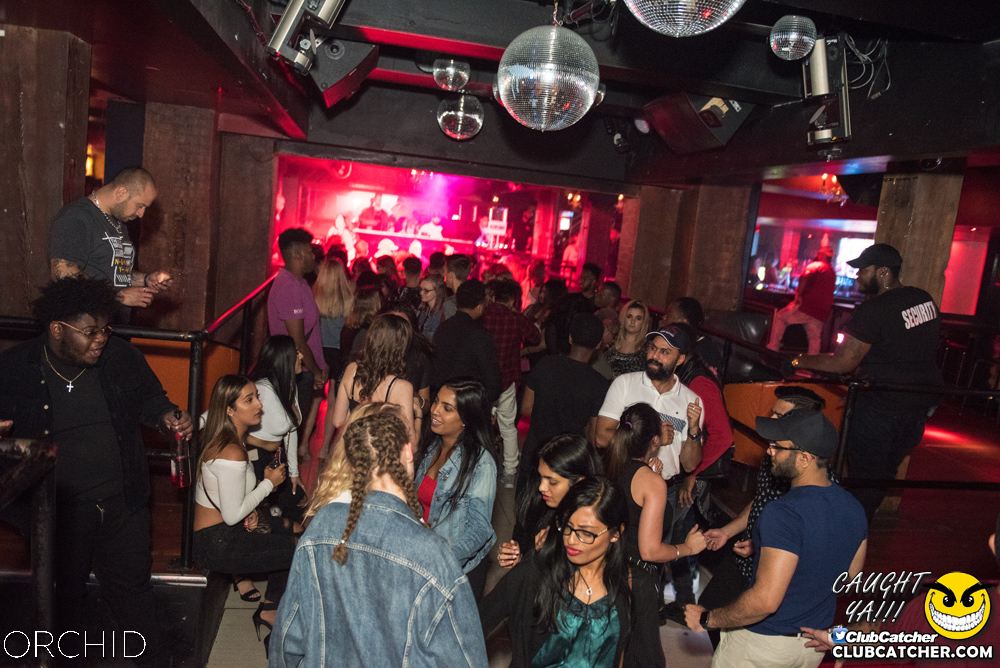 Orchid nightclub photo 20 - September 6th, 2019
