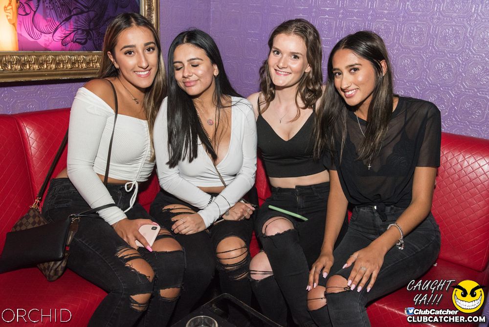 Orchid nightclub photo 24 - September 6th, 2019